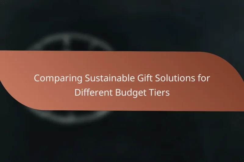 Comparing Sustainable Gift Solutions for Different Budget Tiers