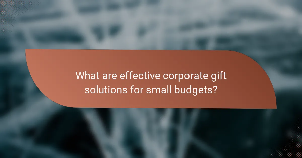 What are effective corporate gift solutions for small budgets?