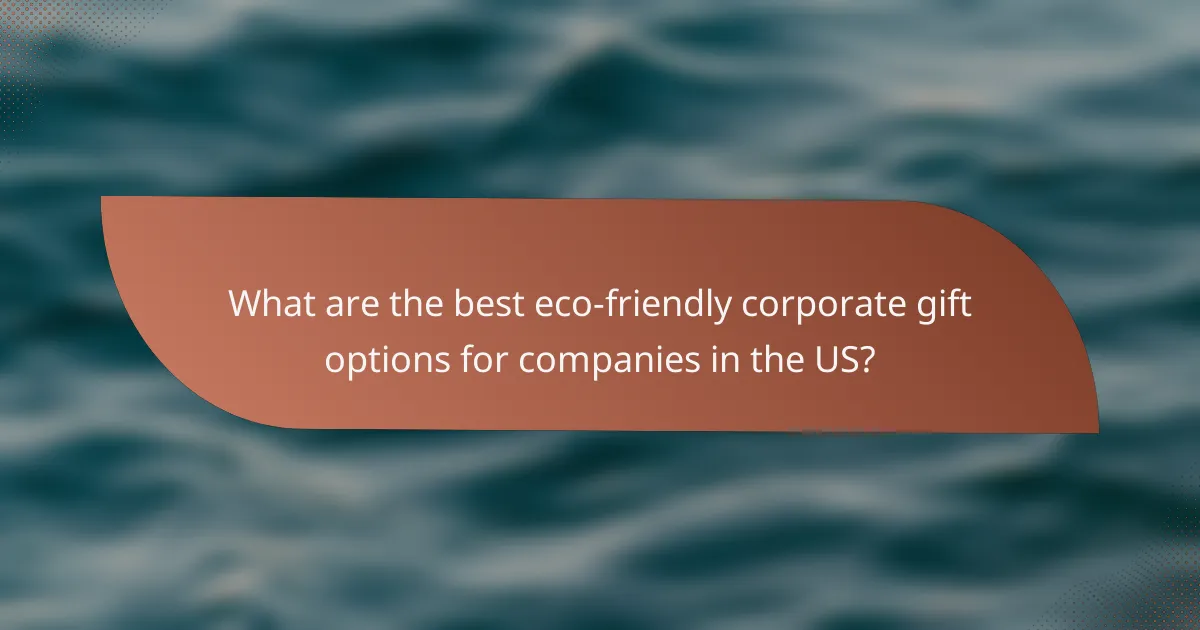 What are the best eco-friendly corporate gift options for companies in the US?